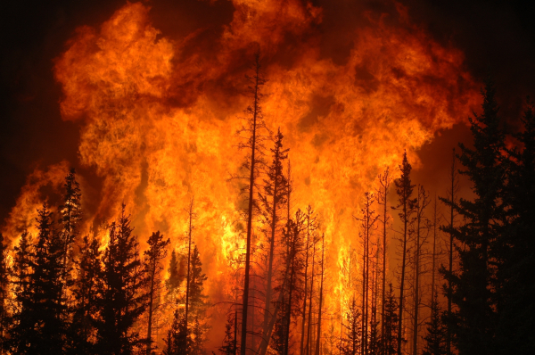 Un bon feu de sapin, ou comment terminer l'année en beauté en criant "J'ai la bûche en feu !"