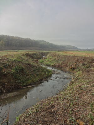 Ici se dressait une forêt, entourant une "zone humide" de part et d'autre d'un ruisseau, et son écosystème désormais irrémédiablement dévasté.